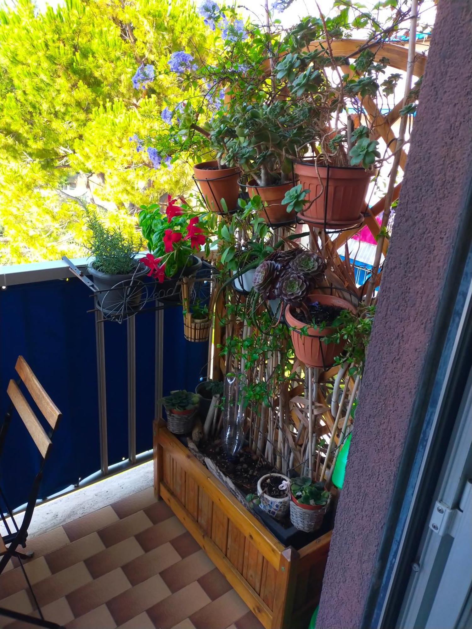 Appartamento Riviera Trilocale Wifi E Parcheggio Privato Ventimiglia Dış mekan fotoğraf